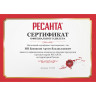 Электропила РЕСАНТА ЭП-2216П 70/10/13